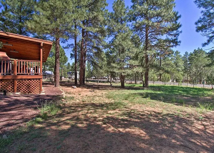 Holiday home Large Deck, Grill: Pet-friendly Show Retreat! *
